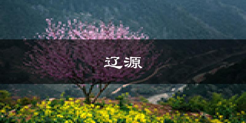 辽源天气预报未来一周