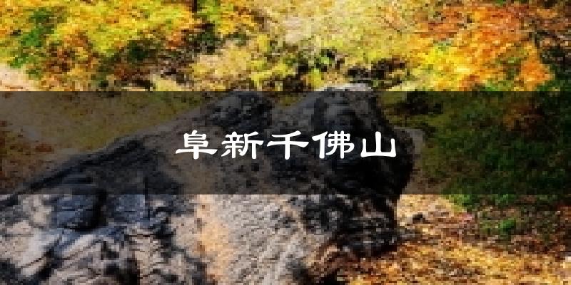 阜新千佛山天气未来15天