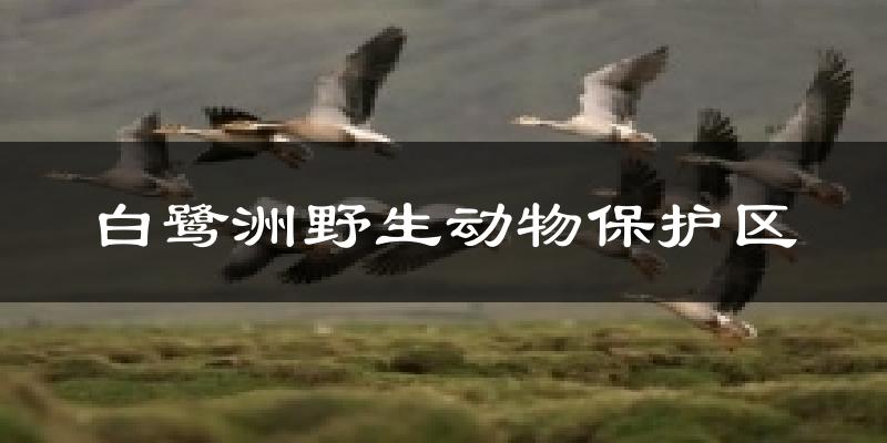 白鹭洲野生动物保护区天气未来15天