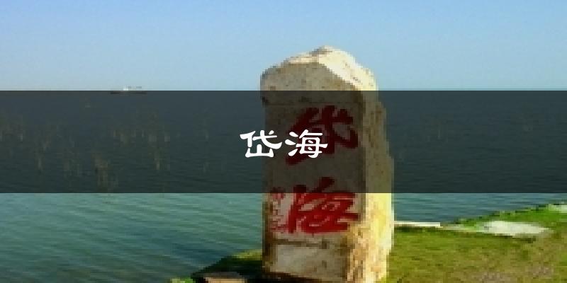 岱海今日天气