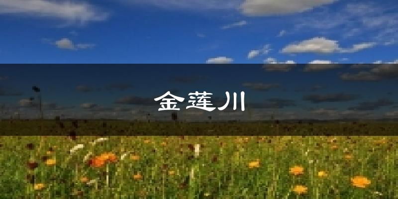 金莲川天气未来15天