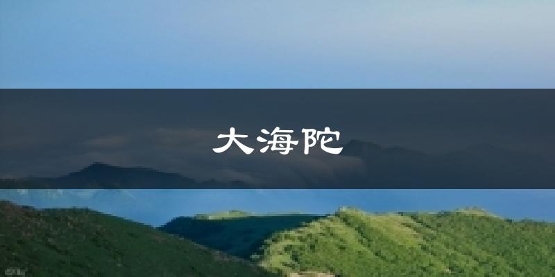大海陀天气未来15天
