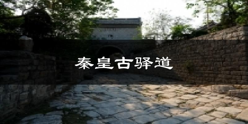 秦皇古驿道今日天气