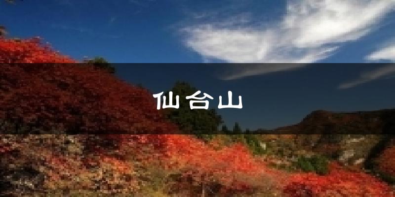 仙台山今日天气