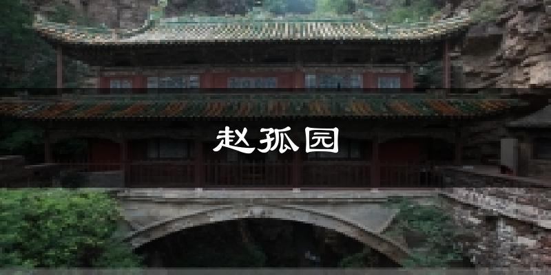 赵孤园今日天气