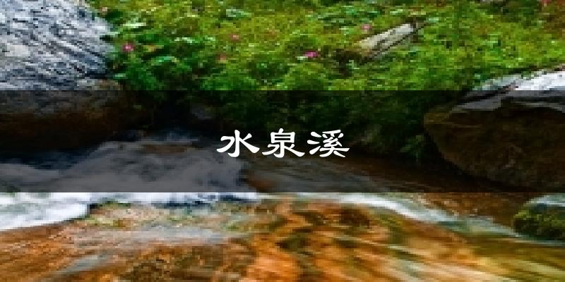水泉溪今日天气