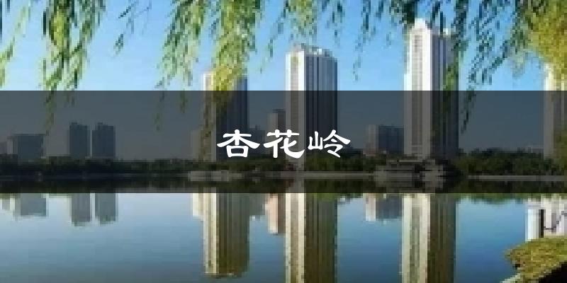 杏花岭天气未来15天