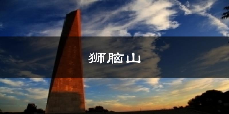 狮脑山今日天气