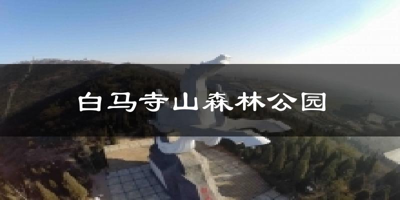 白马寺山森林公园今日天气