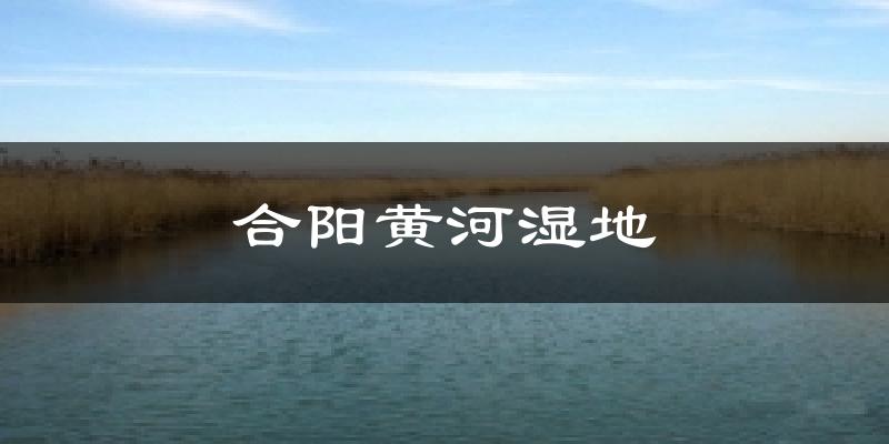 合阳黄河湿地天气未来15天