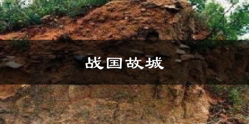 战国故城今日天气