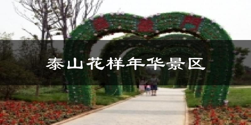 泰山花样年华景区天气未来15天