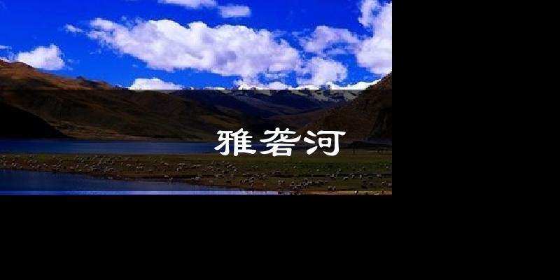 雅砻河今日天气