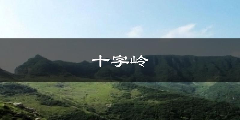 十字岭天气未来15天
