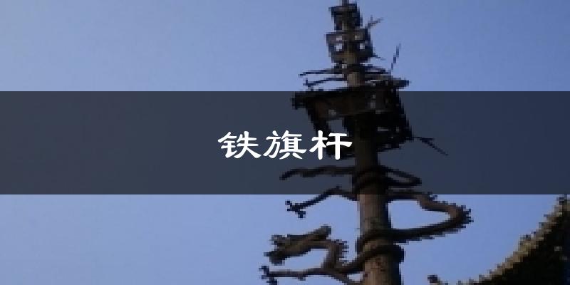 铁旗杆天气未来15天