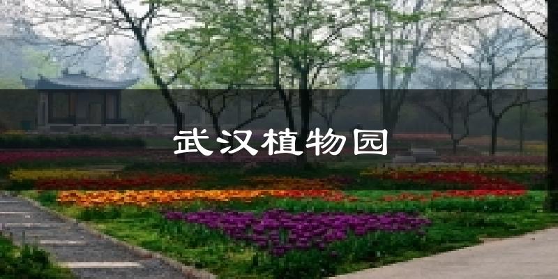 武汉植物园今日天气