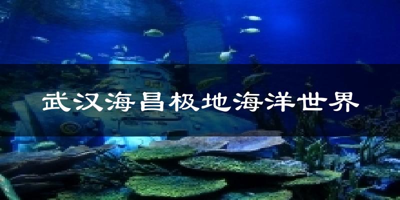 武汉海昌极地海洋世界今日天气