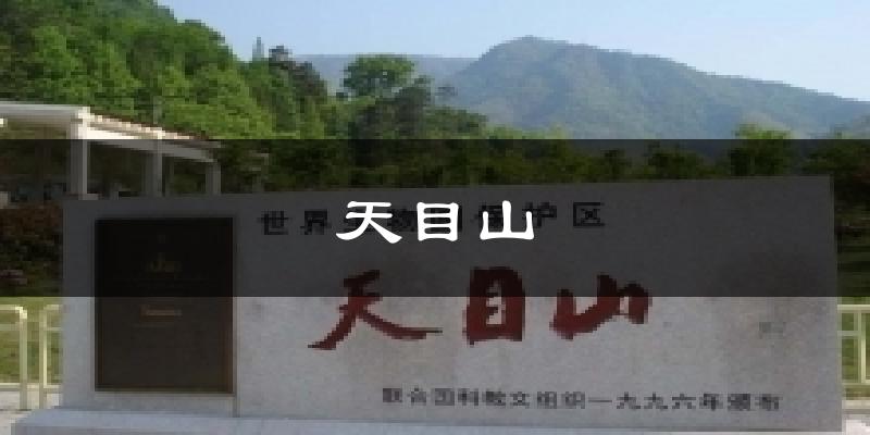 天目山今日天气