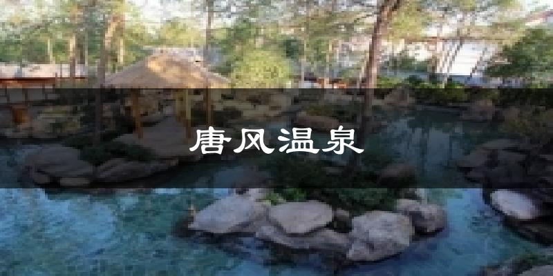 唐风温泉今日天气