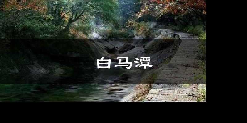 白马潭今日天气