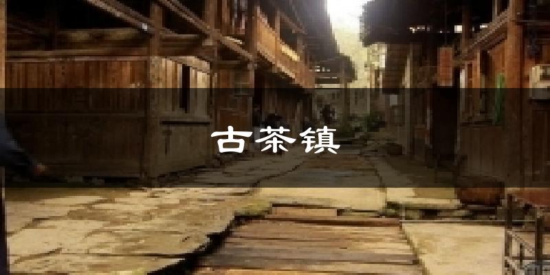 古茶镇天气未来15天