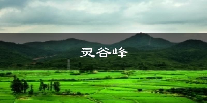 灵谷峰今日天气