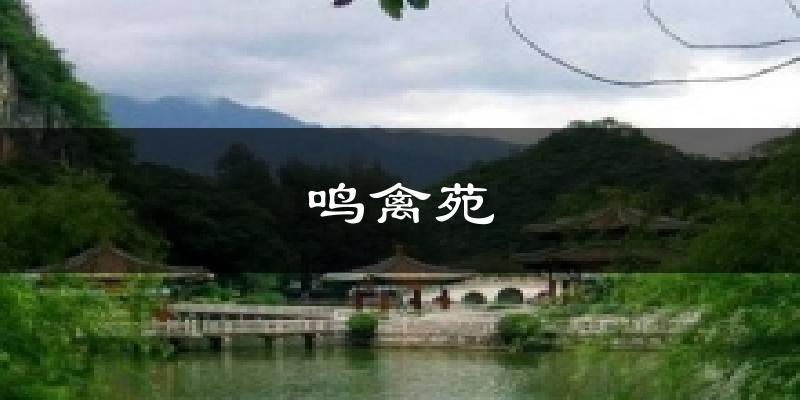鸣禽苑气温