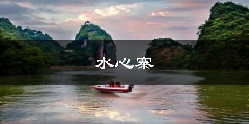 水心寨今日天气