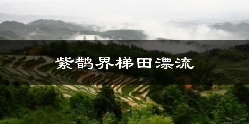 紫鹊界梯田漂流今日天气