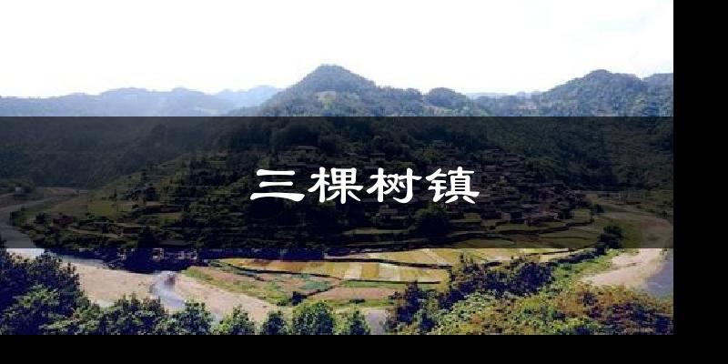 三棵树镇天气未来15天