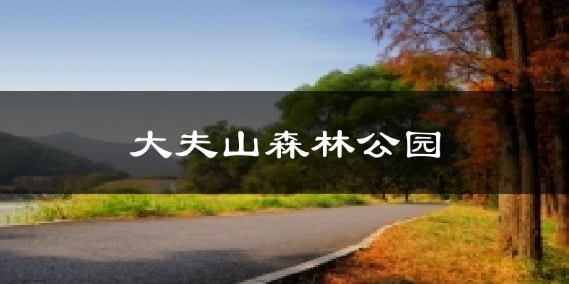 大夫山森林公园天气未来15天