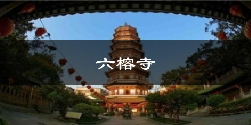 六榕寺天气未来15天
