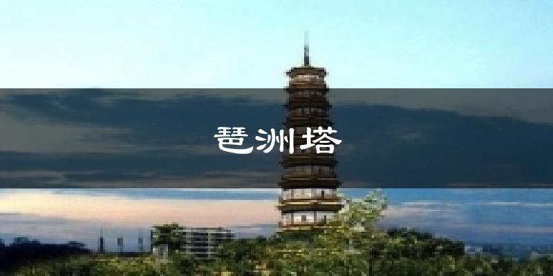 琶洲塔天气未来15天