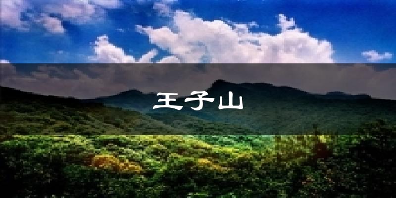 王子山天气未来15天