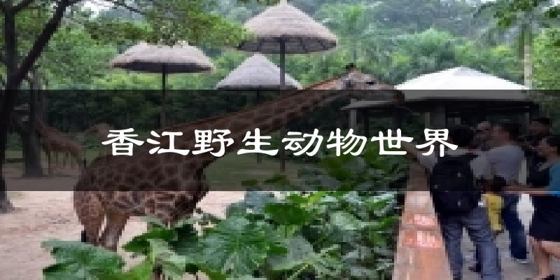 香江野生动物世界天气未来15天