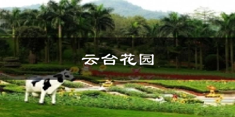 云台花园天气未来15天