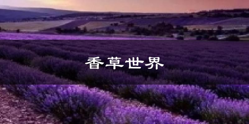 香草世界天气未来15天