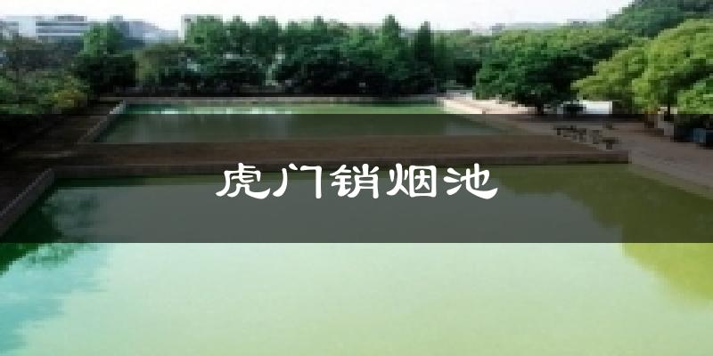 虎门销烟池天气未来15天