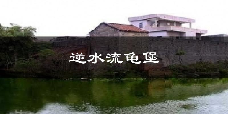 逆水流龟堡天气未来15天
