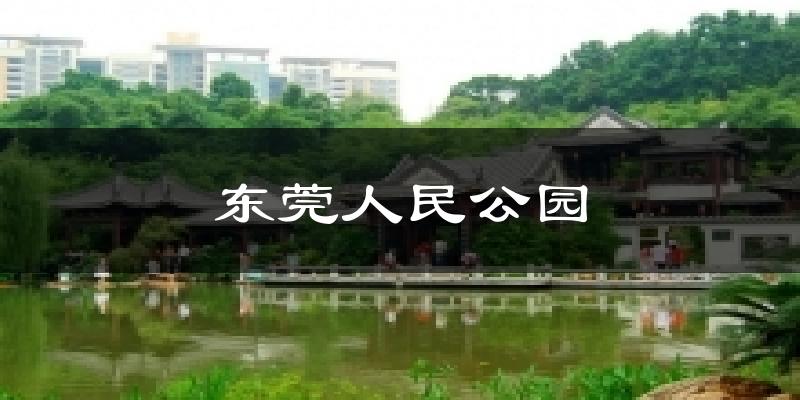 东莞人民公园天气未来15天