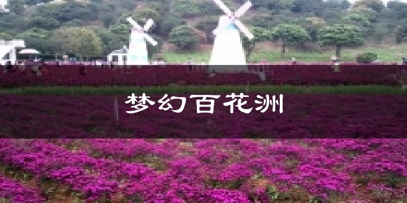梦幻百花洲天气未来15天