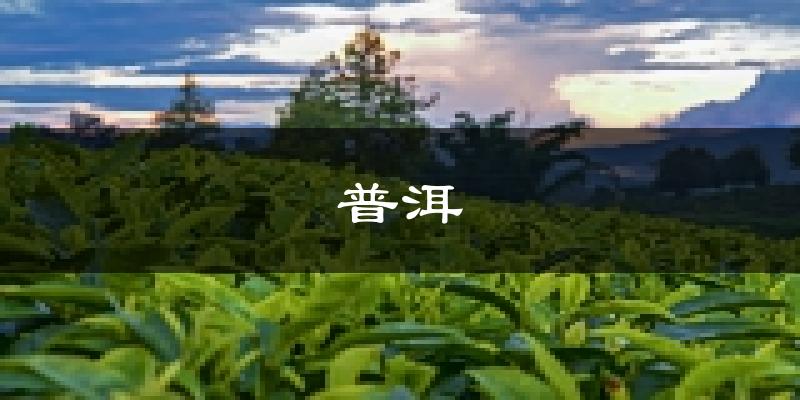普洱天气预报未来一周