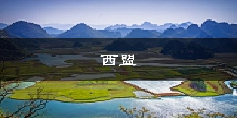 西盟天气预报未来一周