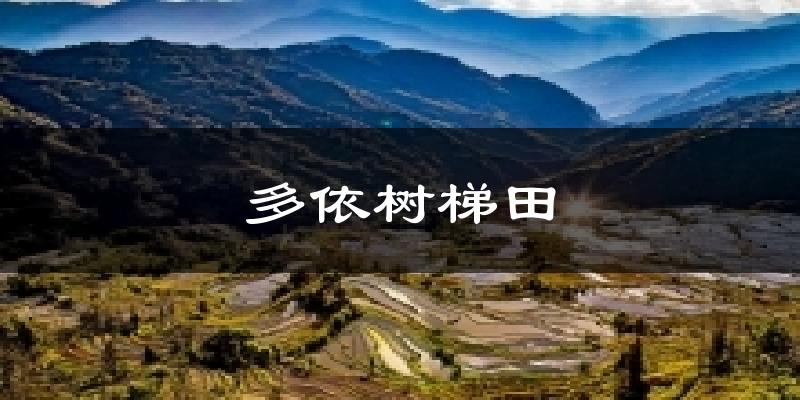 多依树梯田今日天气