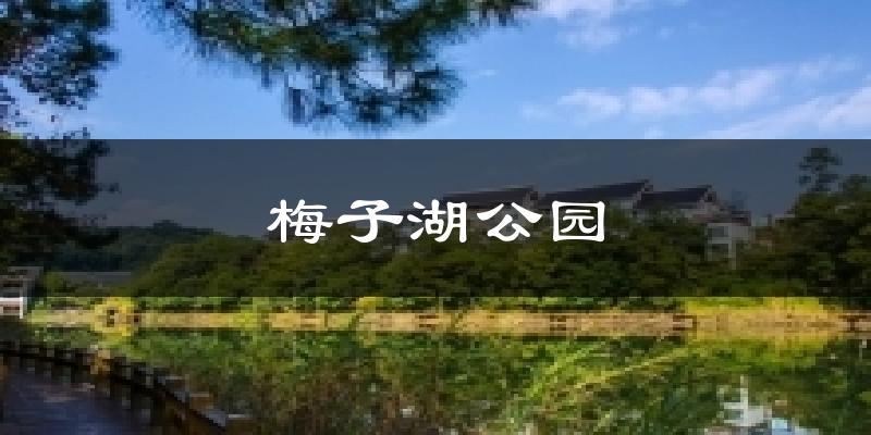 梅子湖公园今日天气