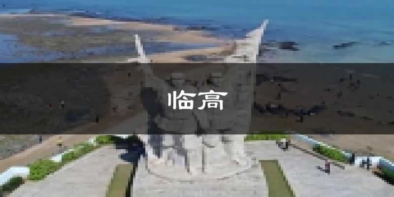 临高天气预报未来一周