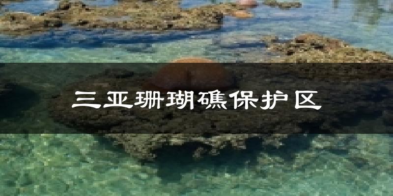 三亚珊瑚礁保护区天气未来15天