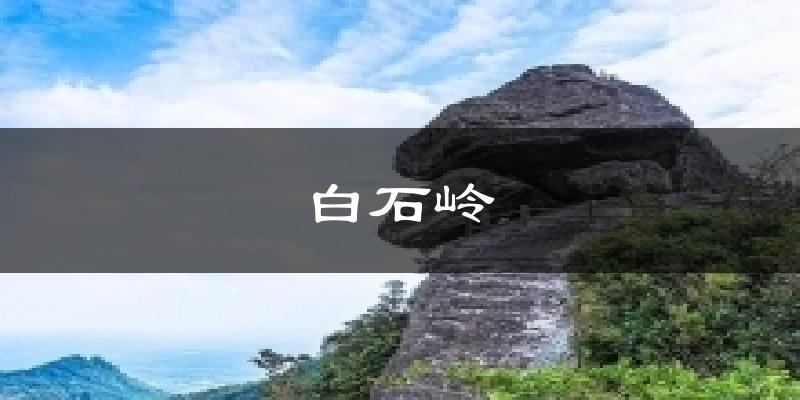 白石岭今日天气